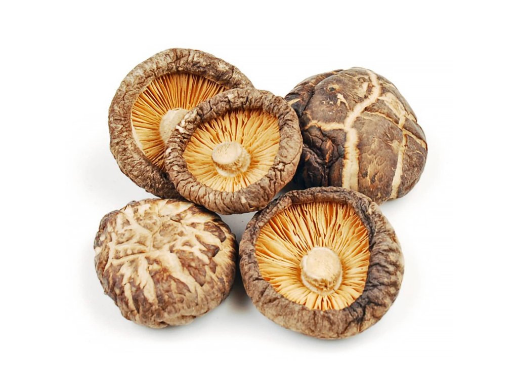 houby shiitake